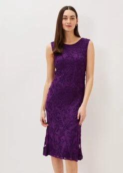 Orelia Tapework Lace Dress