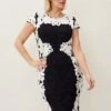 Nori Tapework Lace Fitted Dress -Floral Und Chic 208730287 01 nori tapework lace fitted dress