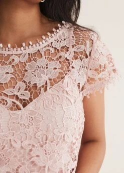 Petite Michelle Lace Pleat Maxi Dress -Floral Und Chic 221374840 05 petite michelle lace pleat maxi dress