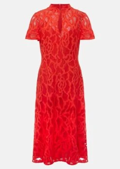 Lulu Lace Midi Dress -Floral Und Chic 221493240 99 lulu lace midi dress